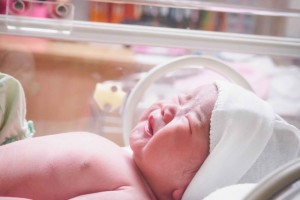 新生儿长奶癣怎么办引起婴儿奶廯的病因